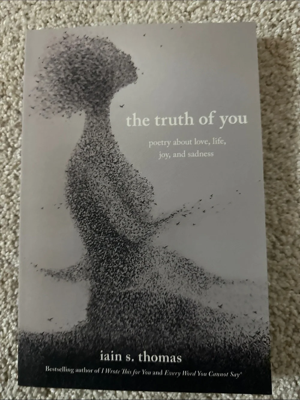 The Truth of You — Poetry Book
